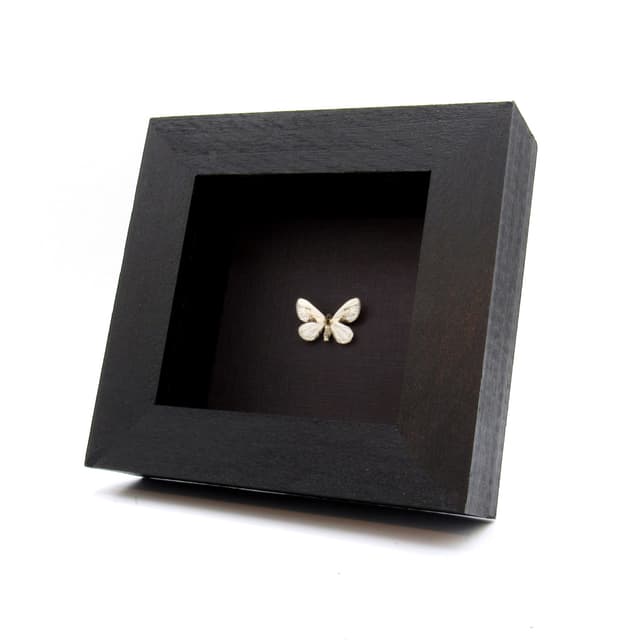 Real TINY Chinese Character moth framed taxidermy - Cilix glaucata